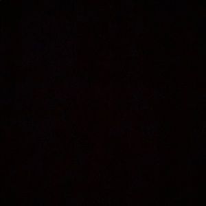 Meet your Posher, Ava